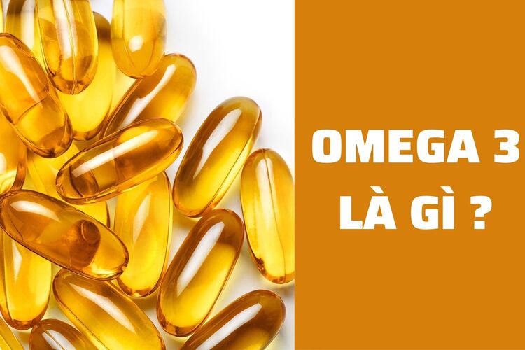 Omega 3 là axit béo không no có vai trò quan trọng và cần thiết cho cơ thể